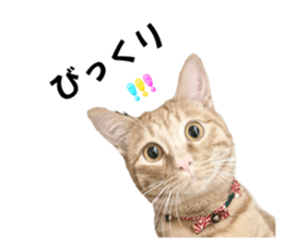 656074358