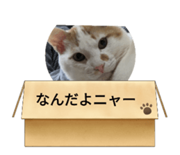 656076898