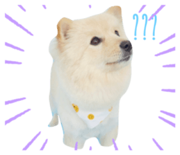 656078146