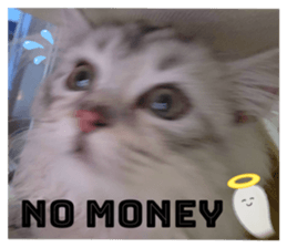 656097322