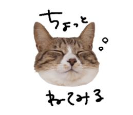 656141247