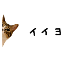 656141252