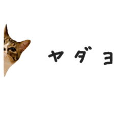 656141253