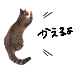 656141257