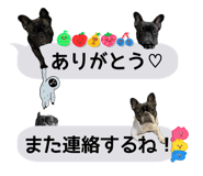 656152186