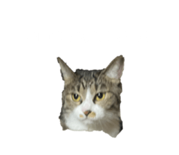 656181228