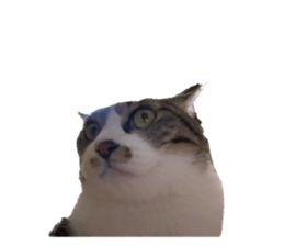 656181229