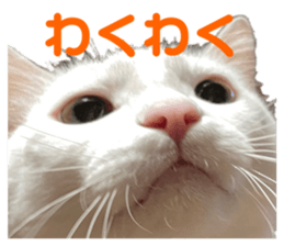 656182497