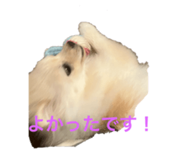 656183876