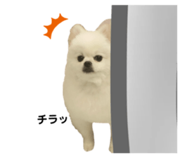 656186077
