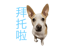 656198008