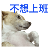 656198011