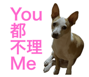 656198017