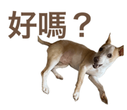 656198029