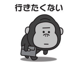 656206577