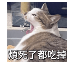 656213600