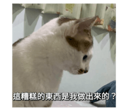 656213604