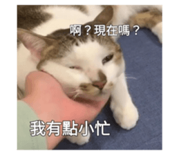 656213606