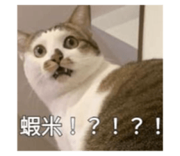 656213612