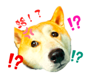 656214281