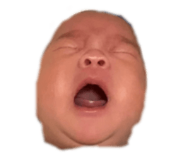 656226920