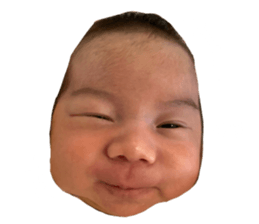 656228877