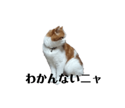 656242611