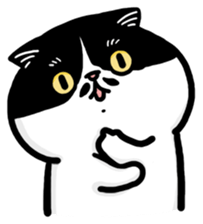 656251750