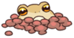 656253067