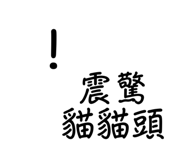 656268306