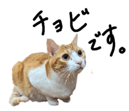 656268366