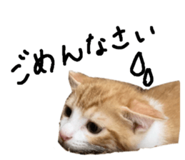 656268367