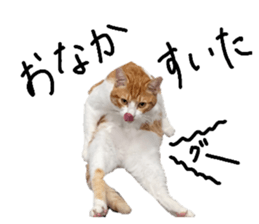 656268369