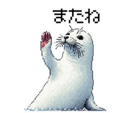 656268427
