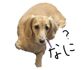 656276854