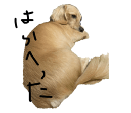 656276857