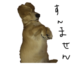 656276859