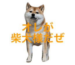 656276914