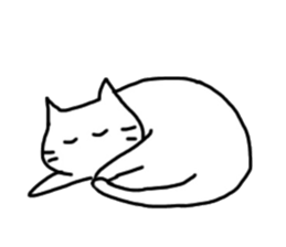 6562817