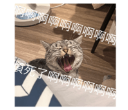 656288374