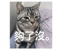656288375