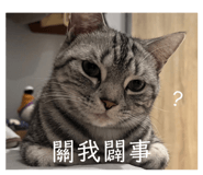656288386