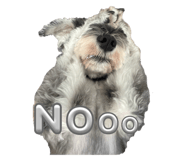 656290403