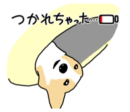 656300004