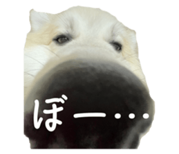 656300247