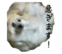 656300251
