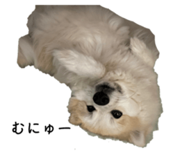 656300269