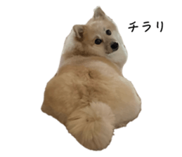 656300273
