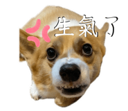 656302042