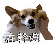 656302043